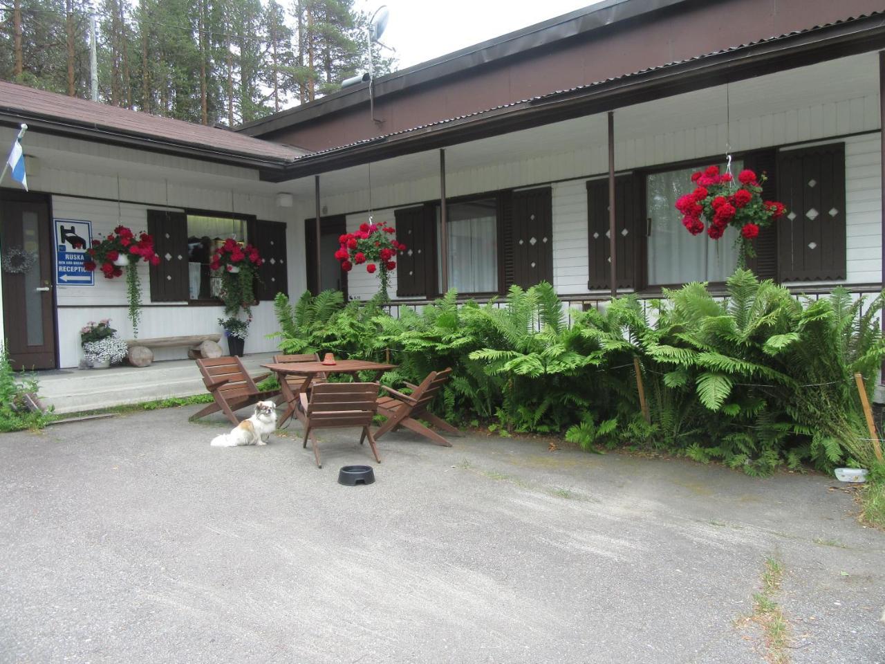 Ruska Bed & Breakfast Тайвалкоски Экстерьер фото
